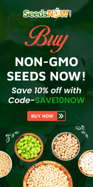 SeedsNow ad for non-gmo seeds