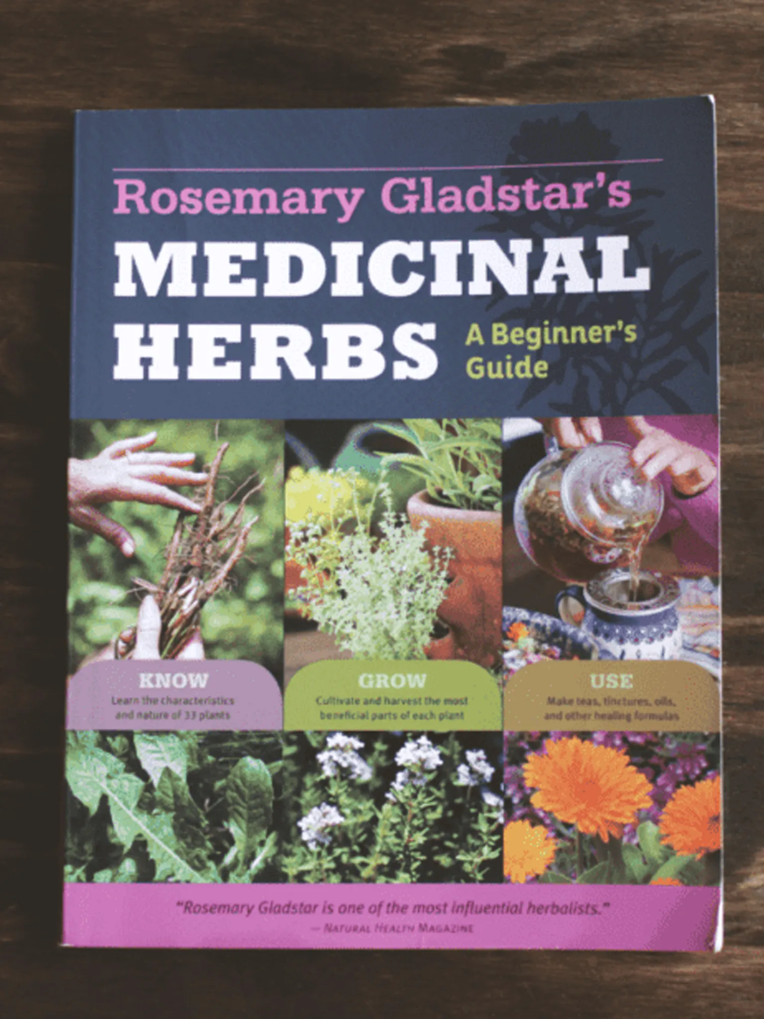 Medicinal Herbs: A Beginner’s Guide by Rosemary Gladstar