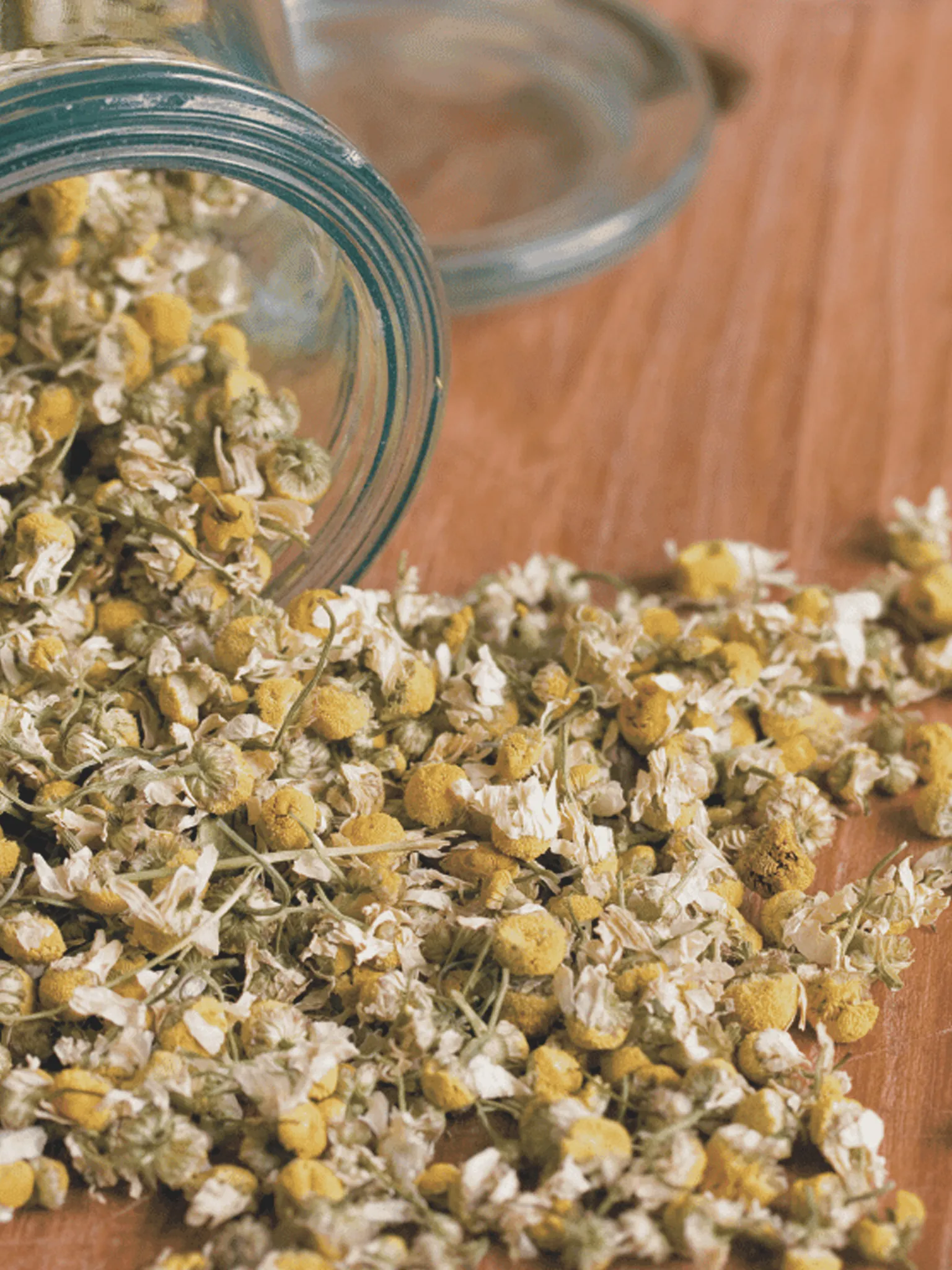 Dried chamomile flowers spilled on a table