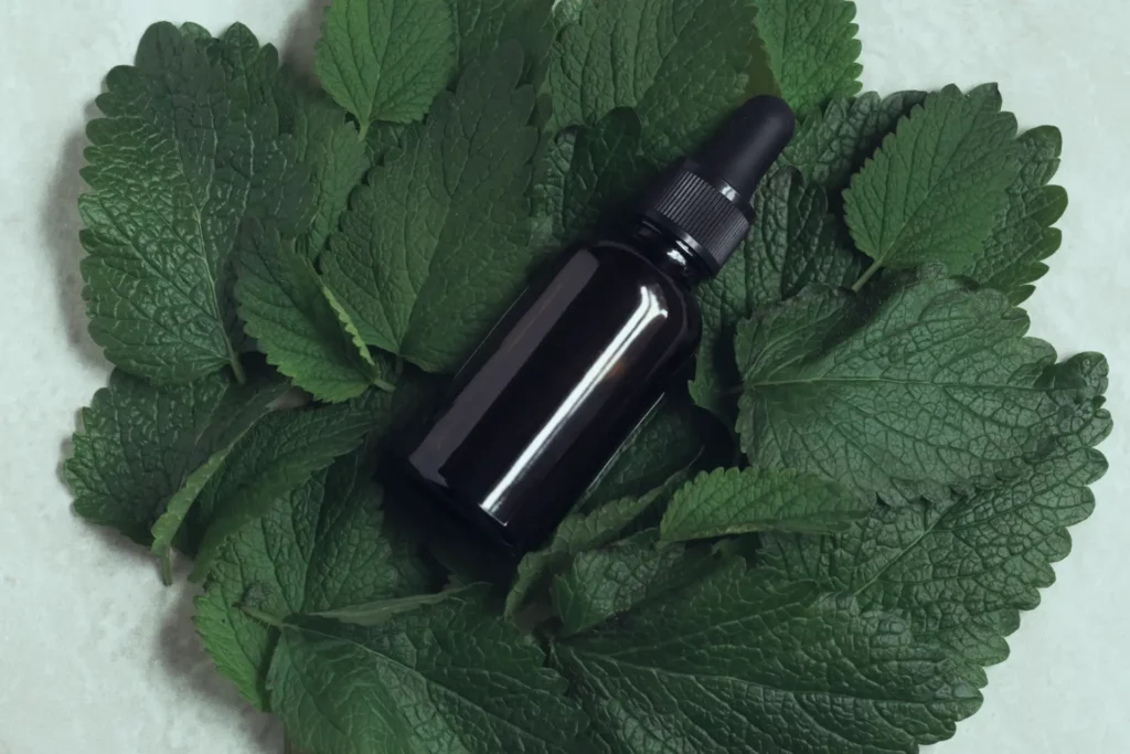 Amber bottle of lemon balm tincture on a bed of fresh lemon balm leaves