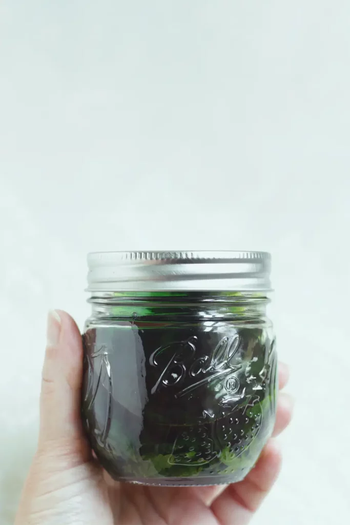 Lemon balm tincture in a glass mason jar