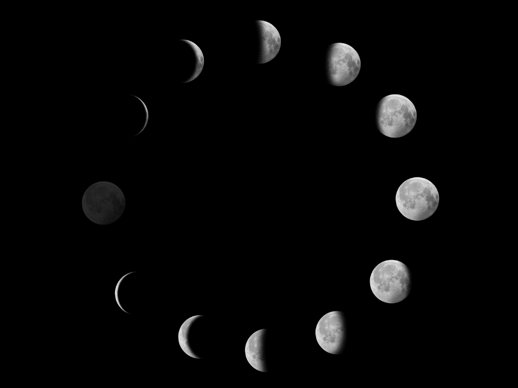 All the moon phases in a circle