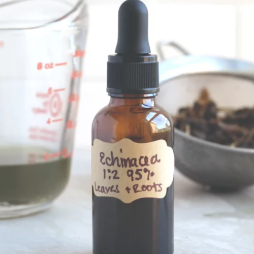 Amber bottle of Echinacea tincture