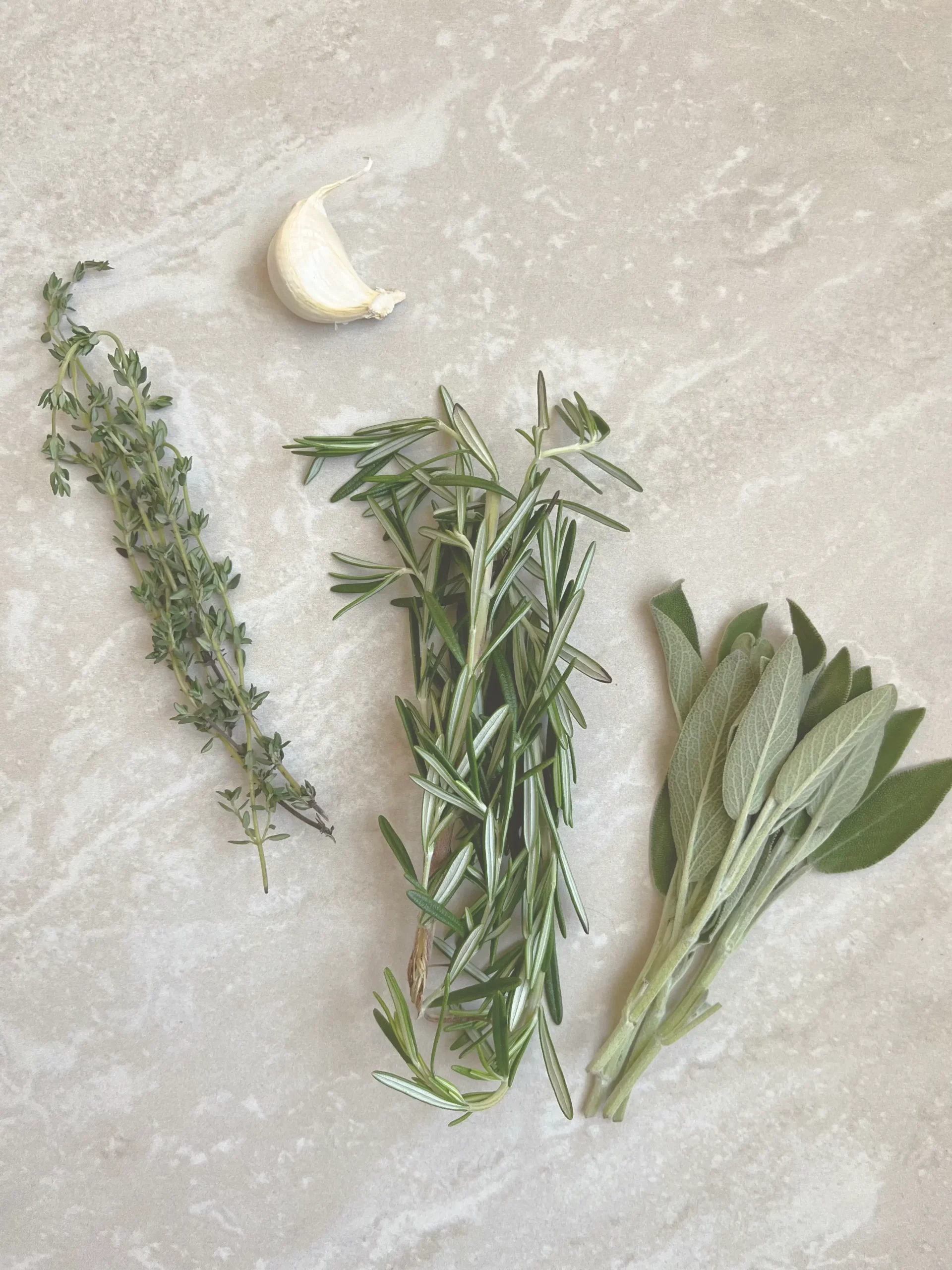 Fresh thyme, rosemary, and sage on a counter with a clove of garlic.