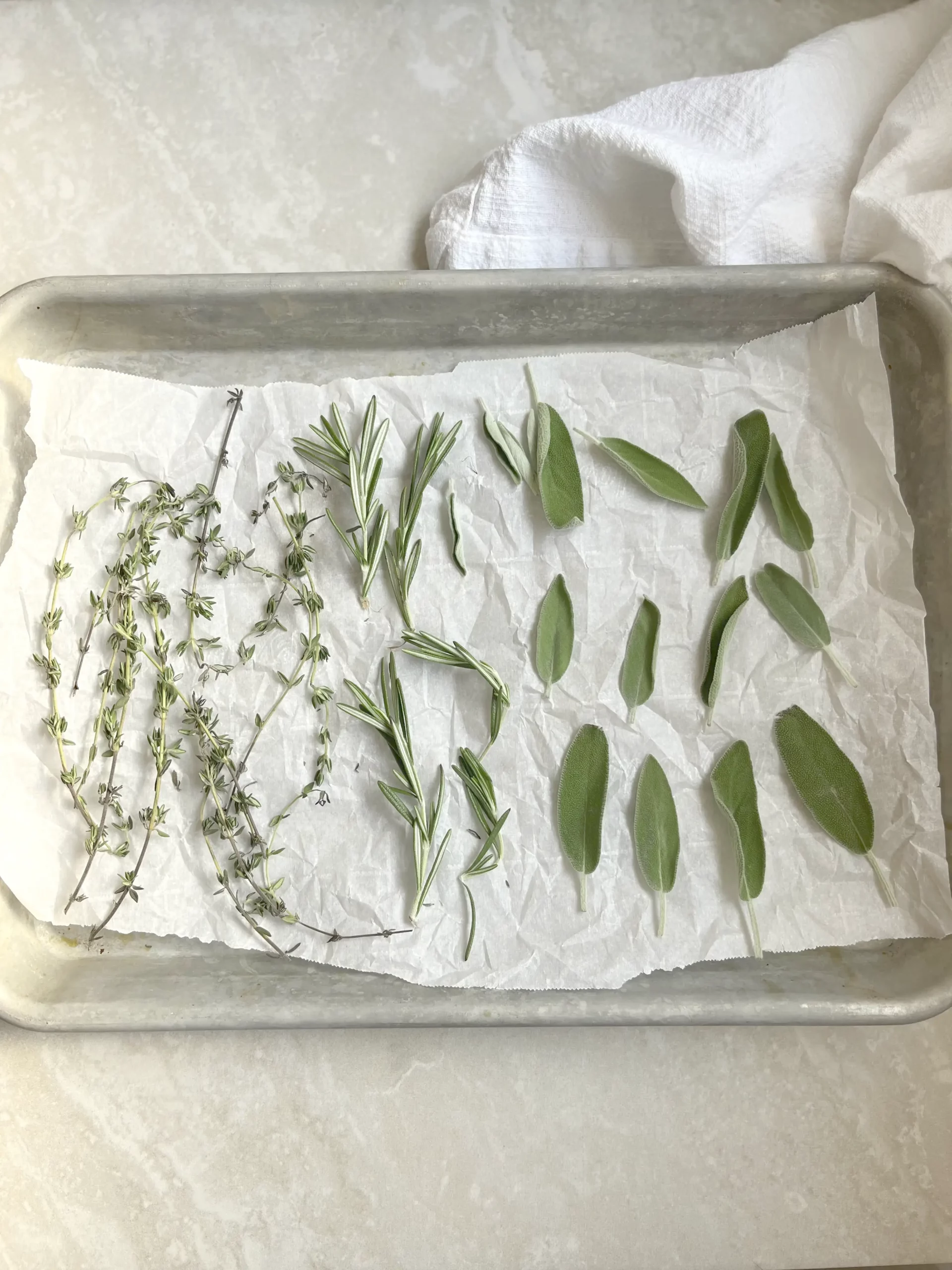 Fresh thyme, rosemary, and sage on a sheet pan lined with parchment paper.