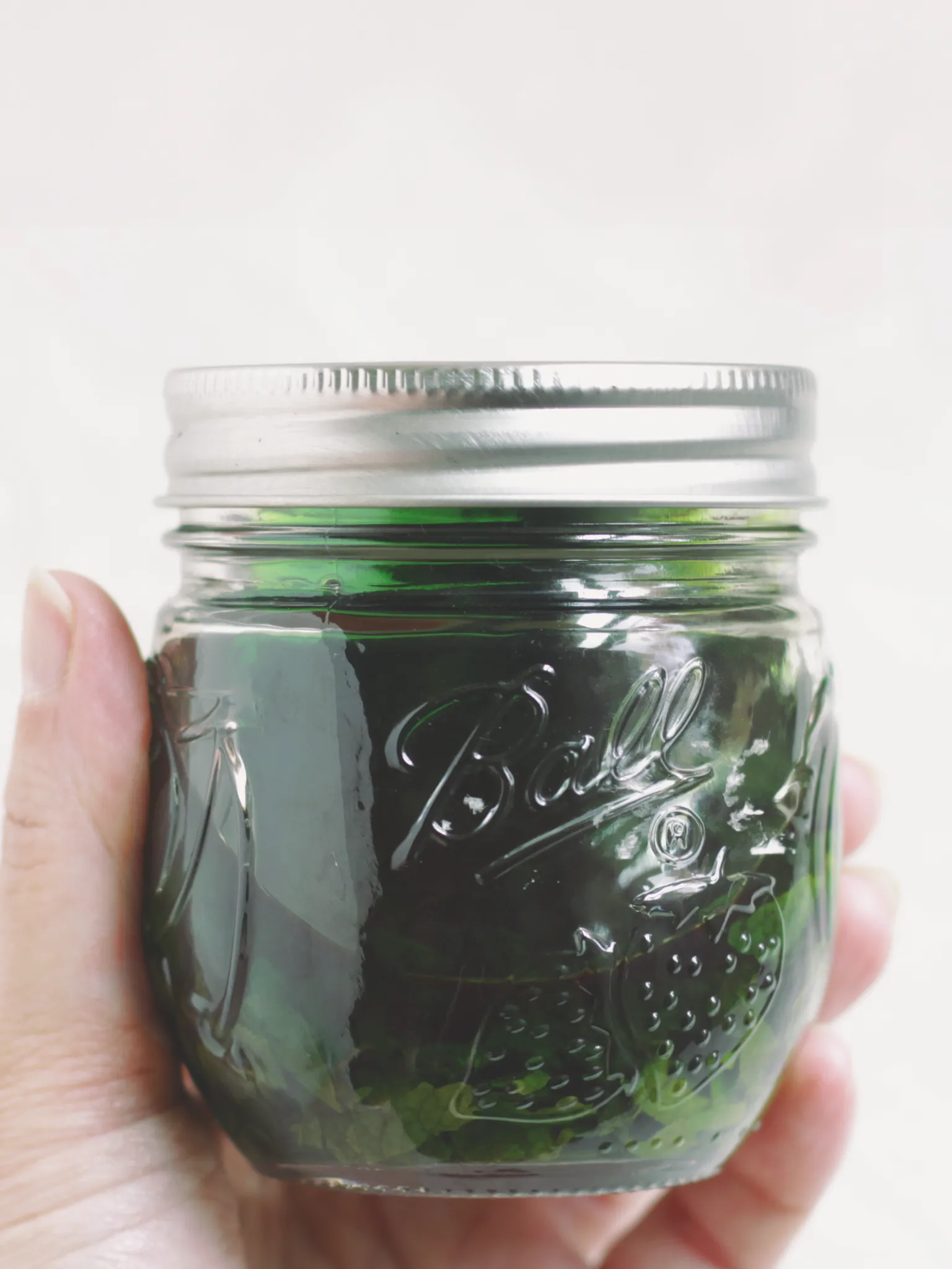 Lemon balm tincture in a glass mason jar