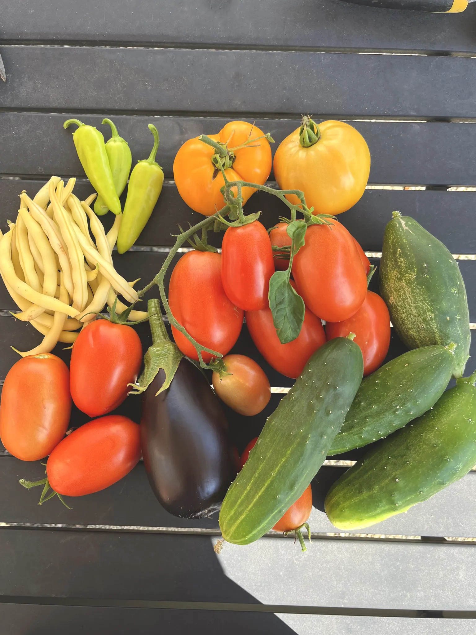 Beginner gardening tips for beans, peppers, tomatoes, cucumbers, and eggplant on a black table outside.