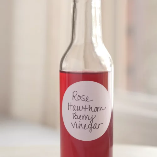 A glass bottle filled with the finished rose and hawthorn berry infused Champagne vinegar. The color is a very pretty pinky-red.